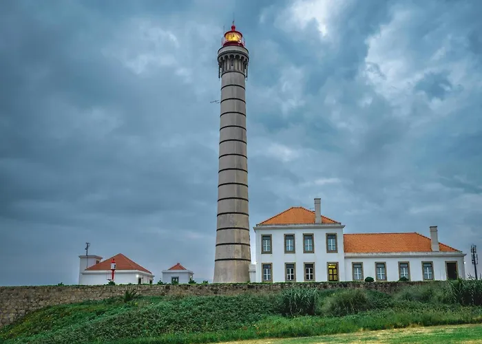 Charming & Cozy Lejlighed Porto